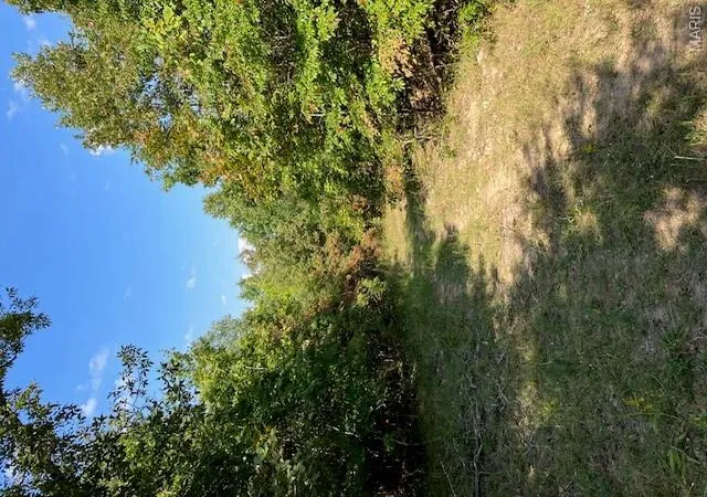 Photo 3 of Land for sale at 21 Church Road (cr 114), Annapolis, MO 63620 | MLS# MIS26042613 | Listing updated on 2026-07-04