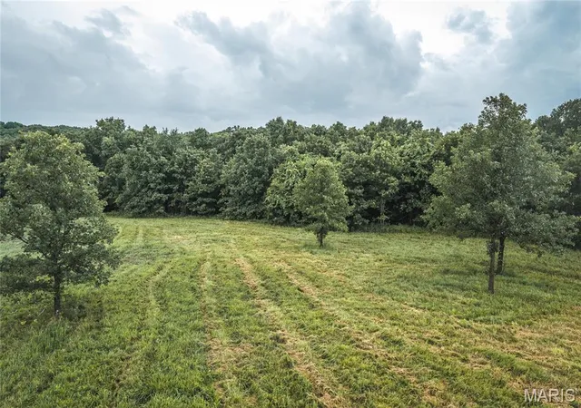Homes for sale in Salem, MO | 0 Lot 4 Hwy 19, Salem, MO 65560 | MLS# MIS26042700