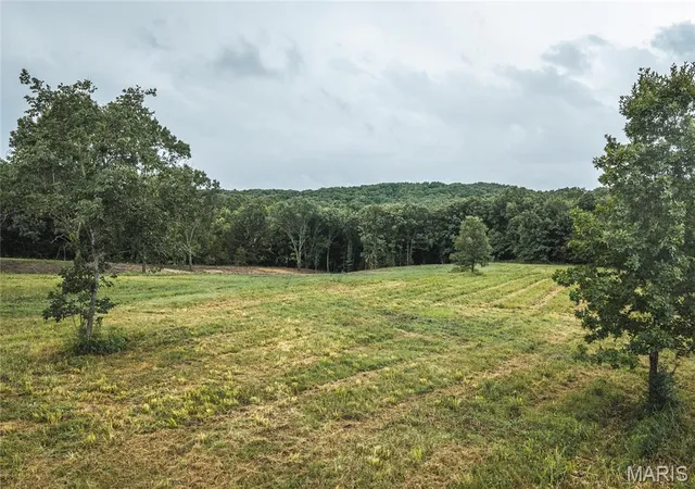 Homes for sale in Salem, MO | 0 Lot 4 Hwy 19, Salem, MO 65560 | MLS# MIS26042700