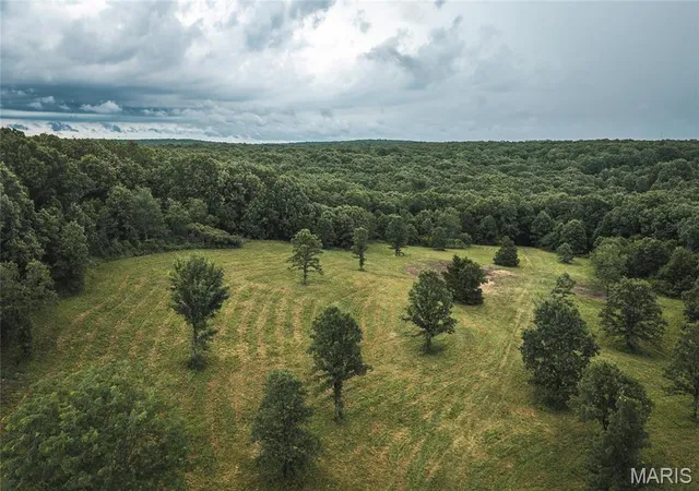 Homes for sale in Salem, MO | 0 Lot 4 Hwy 19, Salem, MO 65560 | MLS# MIS26042700