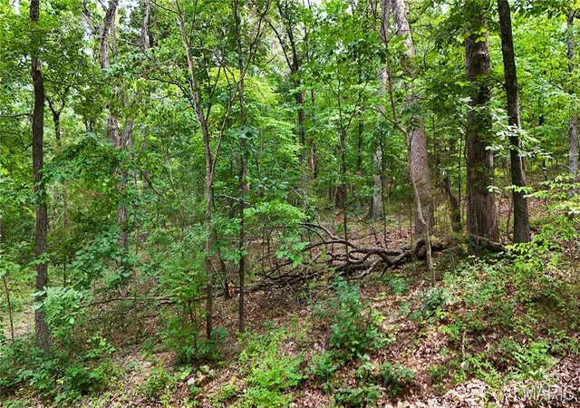 1st image of 9576 Bent Tree Dr, Hillsboro, MO 63050 | MLS# MIS26042770