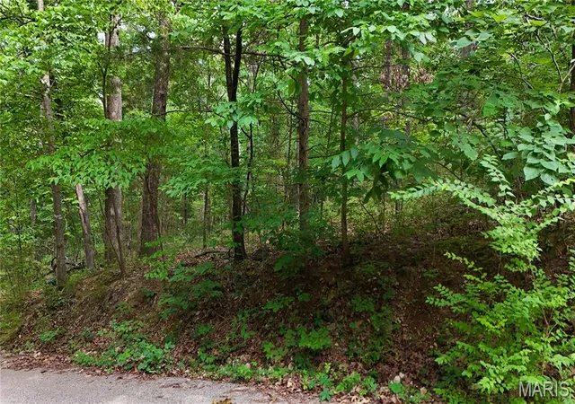 2nd image of 9576 Bent Tree Dr, Hillsboro, MO 63050 | MLS# MIS26042770