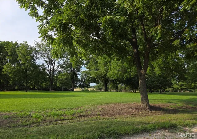 Homes for sale in Buffalo, MO | 263 Candlewood Rd, Buffalo, MO 65622 | MLS# MIS26042844