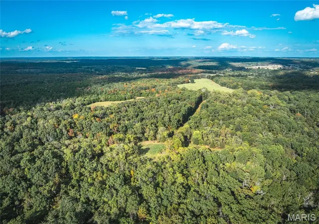 Homes for sale in Richland, MO | Tbd S Davis Hollow Rd Tract B, Richland, MO 65556 | MLS# MIS26042884