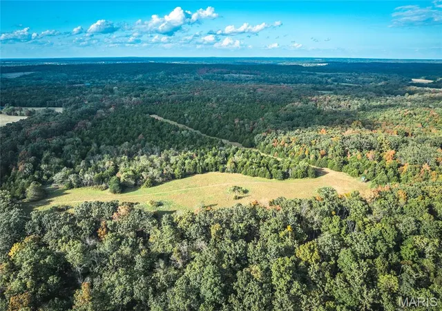 Homes for sale in Richland, MO | Tbd S Davis Hollow Rd Tract B, Richland, MO 65556 | MLS# MIS26042884