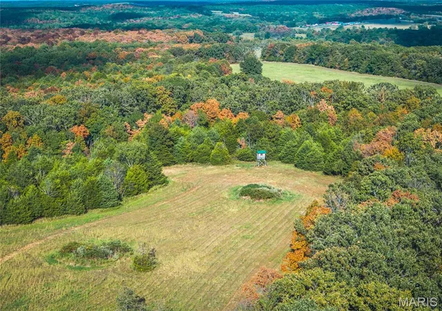 Homes for sale in Richland, MO | Tbd S Davis Hollow Rd-Tract B, Richland, MO 65556 | MLS# MIS26042884