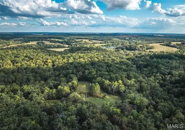 Homes for sale in Richland, MO | Tbd S Davis Hollow Rd-Tract B, Richland, MO 65556 | MLS# MIS26042884