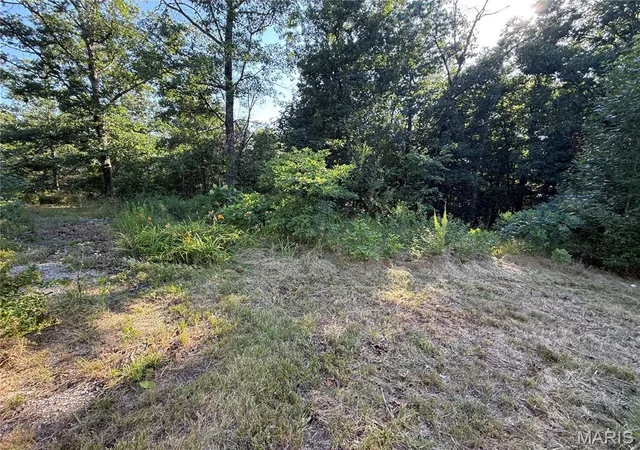 Homes for sale in Steelville, MO | 488 E Hwy 8, Steelville, MO 65565 | MLS# MIS26042910