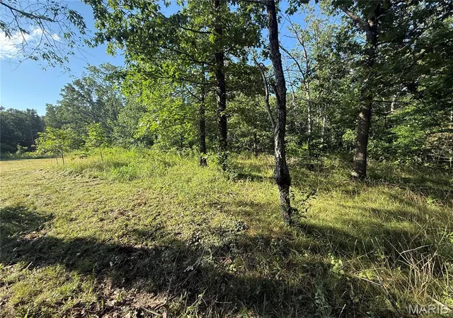 Homes for sale in Steelville, MO | 488 E Hwy 8, Steelville, MO 65565 | MLS# MIS26042910