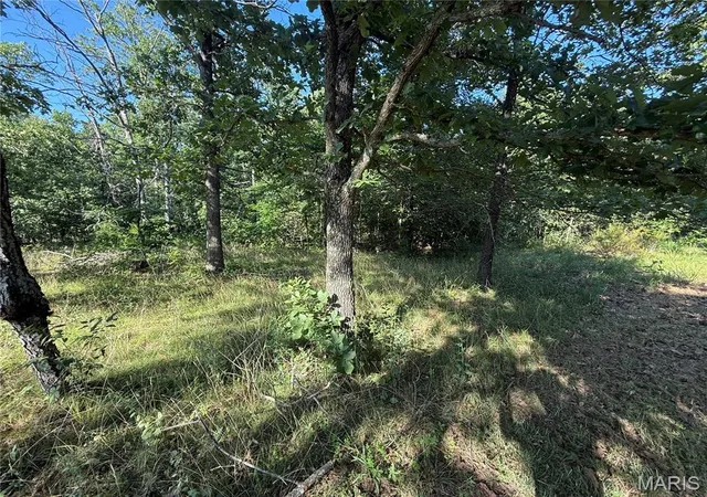 Homes for sale in Steelville, MO | 488 E Hwy 8, Steelville, MO 65565 | MLS# MIS26042910