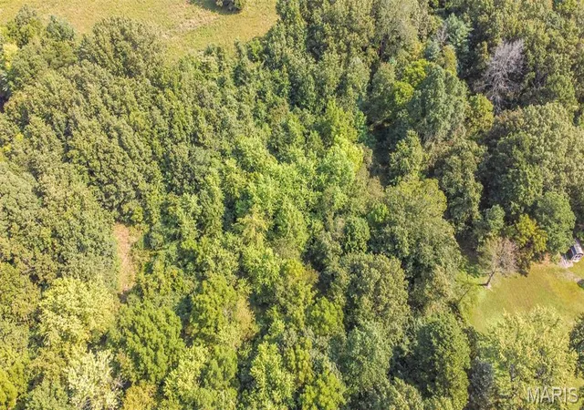 Homes for sale in Poplar Bluff, MO | 1729 Barron Rd, Poplar Bluff, MO 63901 | MLS# MIS26042987