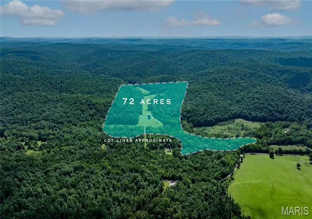Homes for sale in Fredericktown, MO | 1222 Madison 9421, Fredericktown, MO 63645 | MLS# MIS26043098