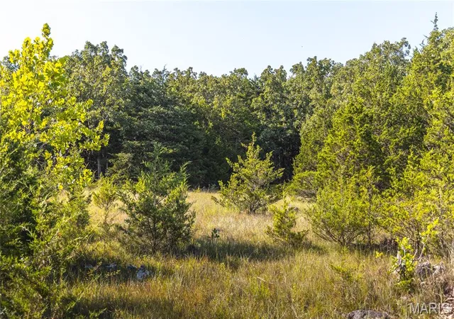 26th image of 2436 Hwy 17, Iberia, MO 65486 | MLS# MIS26043123