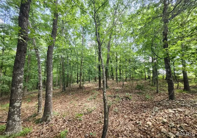Homes for sale in Summersville, MO | 0 M- Blackberry Dr, Summersville, MO 65571 | MLS# MIS26043150