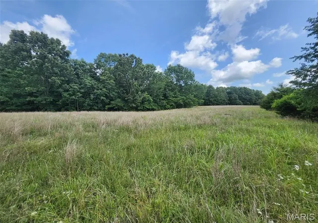Homes for sale in Summersville, MO | 00 M  Blackberry Dr, Summersville, MO 65571 | MLS# MIS26043197