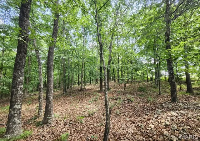 Homes for sale in Summersville, MO | 00 M- Blackberry Dr, Summersville, MO 65571 | MLS# MIS26043197