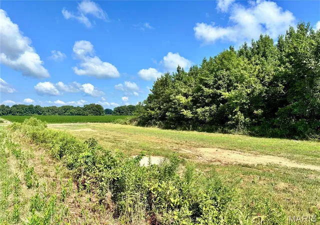 1st image of 631 Cr 614, Broseley, MO 63932 | MLS# MIS26043278