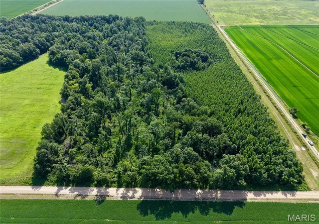 2nd image of 631 Cr 614, Broseley, MO 63932 | MLS# MIS26043278