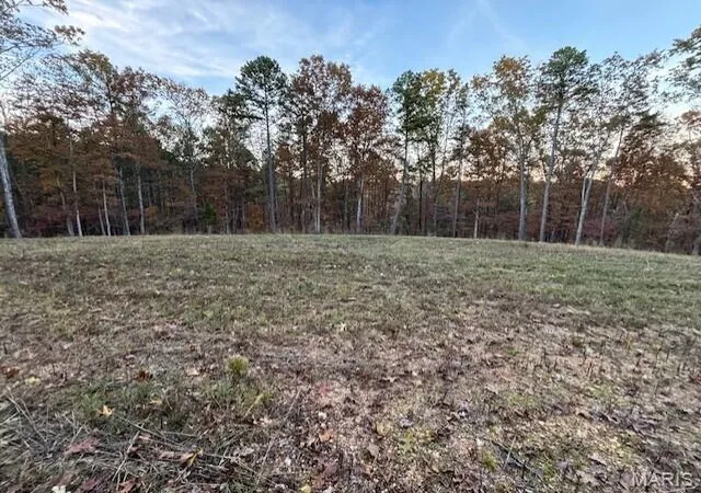 Homes for sale in Vanzant, MO | 0 M- Country Road 272, Vanzant, MO 65768 | MLS# MIS26043313