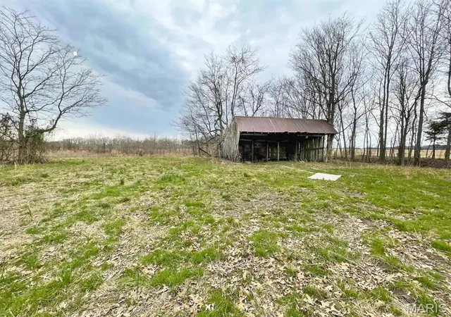 Photo 3 of Land for sale at 0 State Hwy 53, Campbell, MO 63933 | MLS# MIS26043314 | Listing updated on 2026-07-07