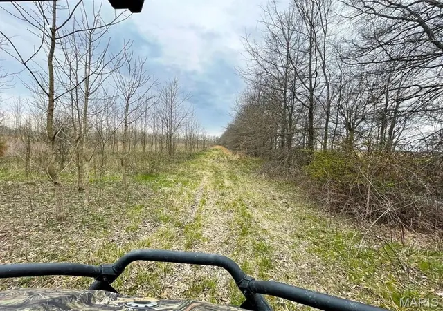 Photo 4 of Land for sale at 0 State Hwy 53, Campbell, MO 63933 | MLS# MIS26043314 | Listing updated on 2026-07-07