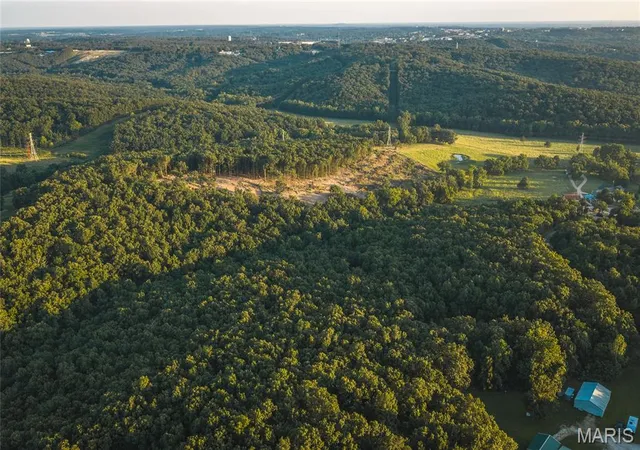 Homes for sale in Rolla, MO | 49 Acres County Road 2030, Rolla, MO 65401 | MLS# MIS26043335
