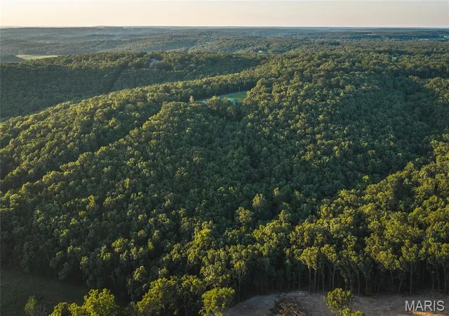 Homes for sale in Rolla, MO | 49 Acres County Road 2030, Rolla, MO 65401 | MLS# MIS26043335