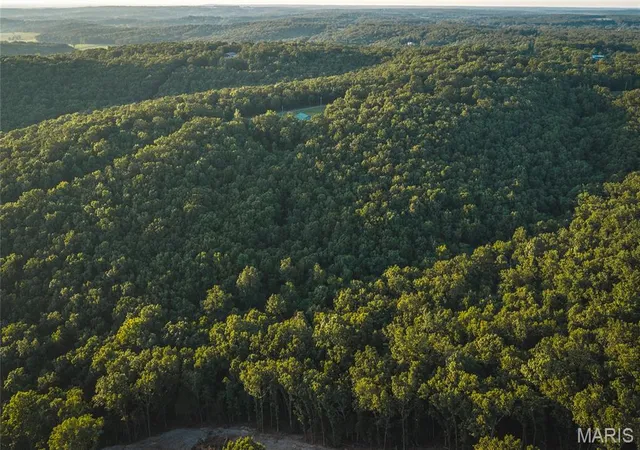 Homes for sale in Rolla, MO | 49 Acres County Road 2030, Rolla, MO 65401 | MLS# MIS26043335