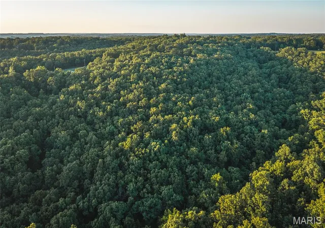 Homes for sale in Rolla, MO | 49 Acres County Road 2030, Rolla, MO 65401 | MLS# MIS26043335