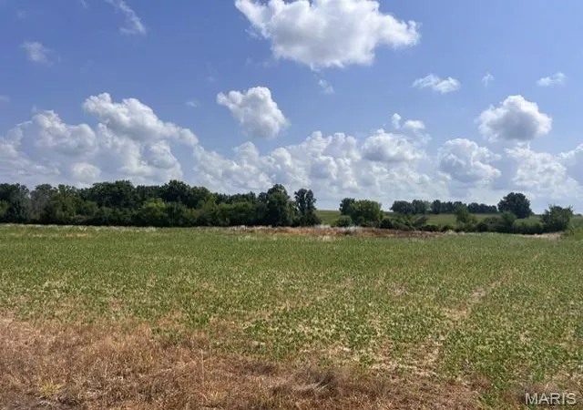 2nd image of 1241 Acres Palo Pinto Dr, O Fallon, MO 63366 | MLS# MIS26043465