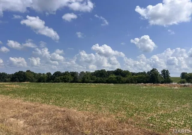 3rd image of 1241 Acres Palo Pinto Dr, O Fallon, MO 63366 | MLS# MIS26043465