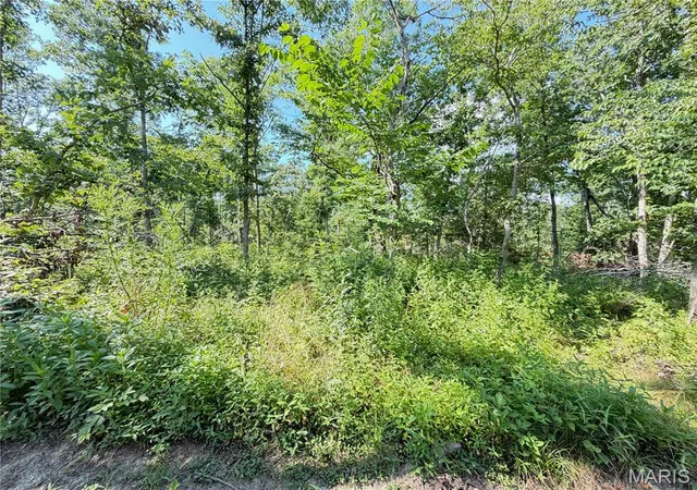 Homes for sale in Salem, MO | 2103 County Road 3140, Salem, MO 65560 | MLS# MIS26043477