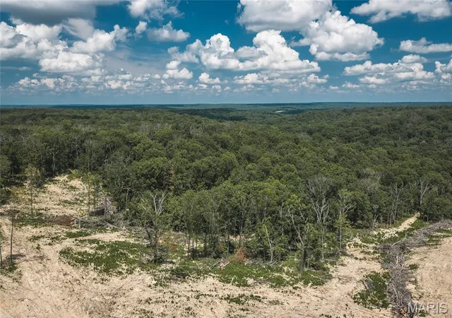 Homes for sale in Macks Creek, MO | Tbd Geronimo Springs-Tract 2, Macks Creek, MO 65786 | MLS# MIS26043516