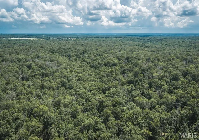 Homes for sale in Macks Creek, MO | Tbd Geronimo Springs Road-Tract 3, Macks Creek, MO 65786 | MLS# MIS26043518