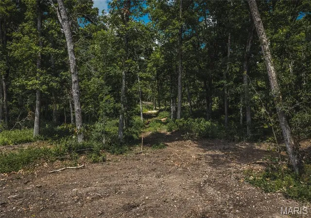 Homes for sale in Macks Creek, MO | Tbd Geronimo Springs Road Tract 3, Macks Creek, MO 65786 | MLS# MIS26043518