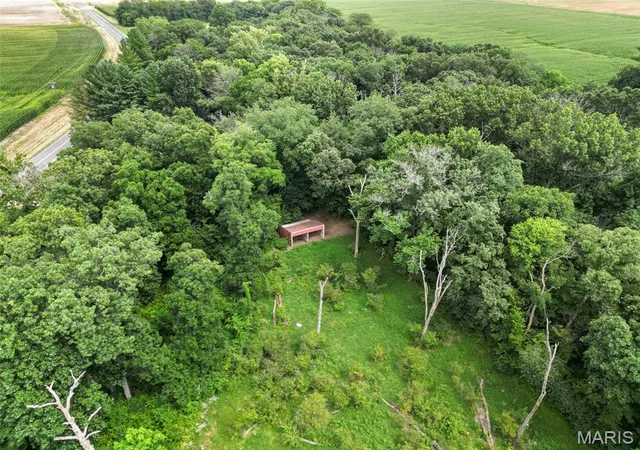 Homes for sale in Donnellson, IL | 10228 Donnellson Ave, Donnellson, IL 62019 | MLS# MIS26043521