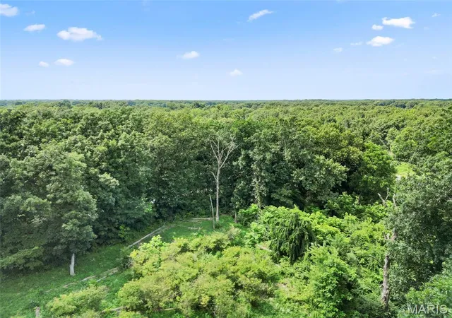 3rd image of 10228 Donnellson Ave, Donnellson, IL 62019 | MLS# MIS26043521