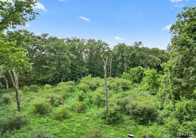 4th image of 10228 Donnellson Ave, Donnellson, IL 62019 | MLS# MIS26043521