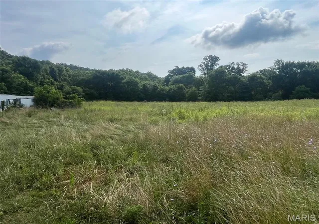 Homes for sale in Potosi, MO | 11494 Old Hwy 8, Potosi, MO 63664 | MLS# MIS26043526