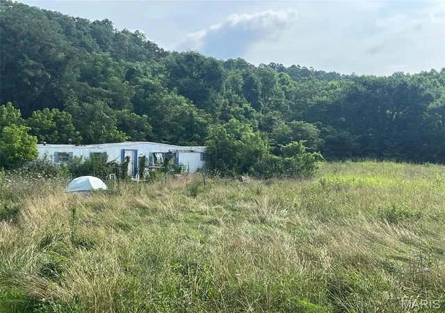 Homes for sale in Potosi, MO | 11494 Old Hwy 8, Potosi, MO 63664 | MLS# MIS26043526
