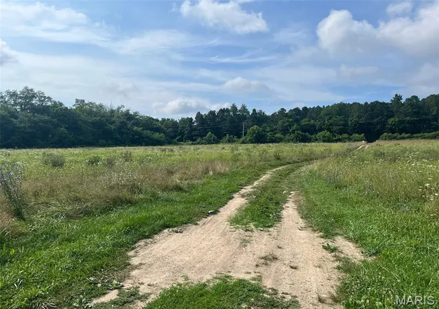 Homes for sale in Potosi, MO | 11494 Old Hwy 8, Potosi, MO 63664 | MLS# MIS26043526