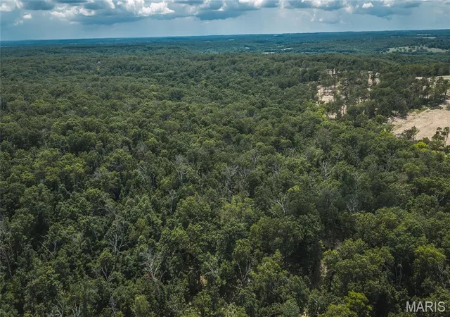 Homes for sale in Macks Creek, MO | Tbd Geronimo Springs Road Tract 4, Macks Creek, MO 65786 | MLS# MIS26043541