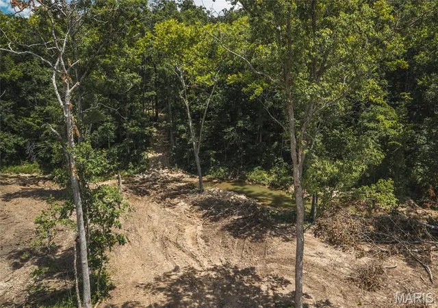 Homes for sale in Macks Creek, MO | Tbd Geronimo Springs Road-Tract 4, Macks Creek, MO 65786 | MLS# MIS26043541