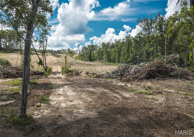 Homes for sale in Macks Creek, MO | Tbd Geronimo Springs Road Tract 4, Macks Creek, MO 65786 | MLS# MIS26043541