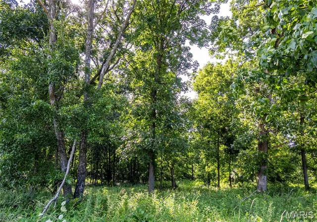 Homes for sale in Stoutsville, MO | 00 Hwy 154, Stoutsville, MO 65283 | MLS# MIS26043544