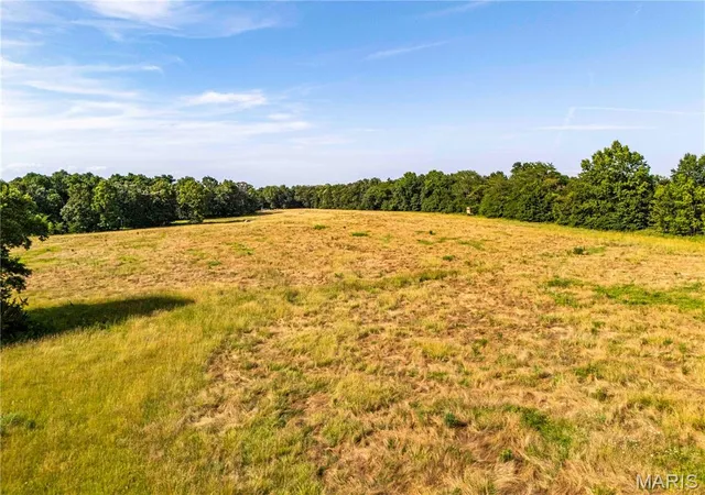 Homes for sale in Stoutsville, MO | 00 Hwy 154, Stoutsville, MO 65283 | MLS# MIS26043544