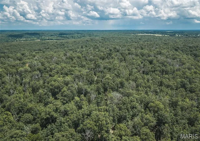 Homes for sale in Macks Creek, MO | Tbd Geronimo Springs Road Tract 5, Macks Creek, MO 65786 | MLS# MIS26043547