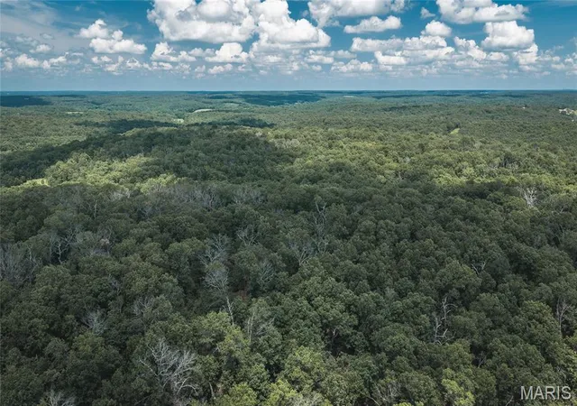 Homes for sale in Macks Creek, MO | Tbd Geronimo Springs Road Tract 5, Macks Creek, MO 65786 | MLS# MIS26043547