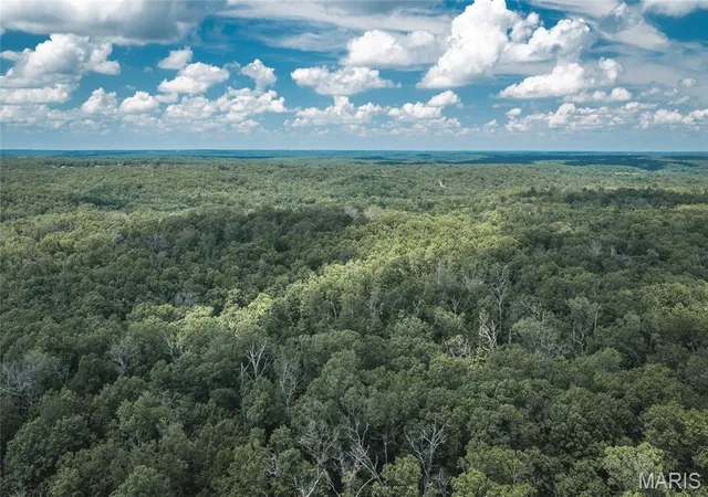 Homes for sale in Macks Creek, MO | Tbd Geronimo Springs Road Tract 5, Macks Creek, MO 65786 | MLS# MIS26043547