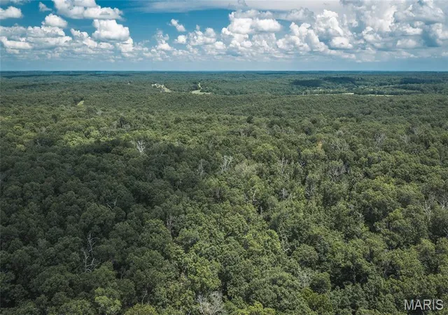Homes for sale in Macks Creek, MO | Tbd Geronimo Springs Road Tract 6, Macks Creek, MO 65786 | MLS# MIS26043554